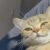 Profile picture of Natasha Gwen S. Bitin