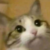 Profile picture of Shawna Kate